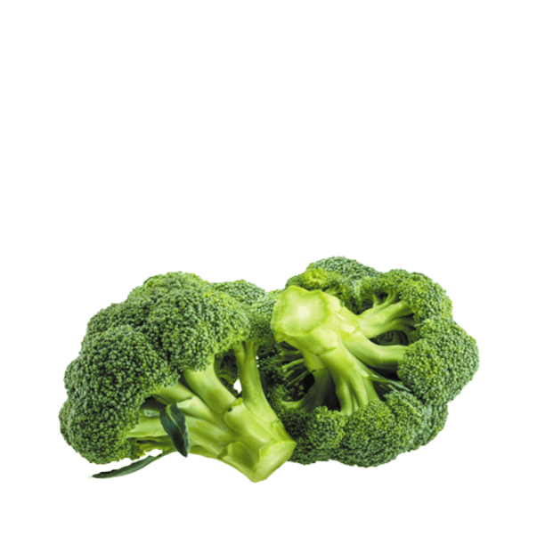 Broccoli | Hanover Foods